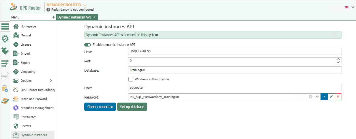 Einstellungen der Dynamische-Instanzen-API mit Aktivierung, Verbindungsdaten und Schaltflächen zum Prüfen und Einrichten der Datenbank
